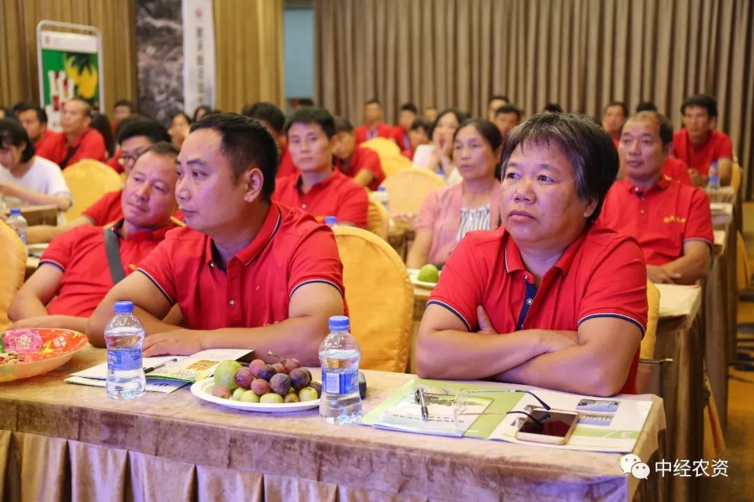 广西恒丰进出口贸易有限公司