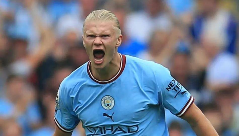 德黑兰会议召开前夕苏德战场的形势