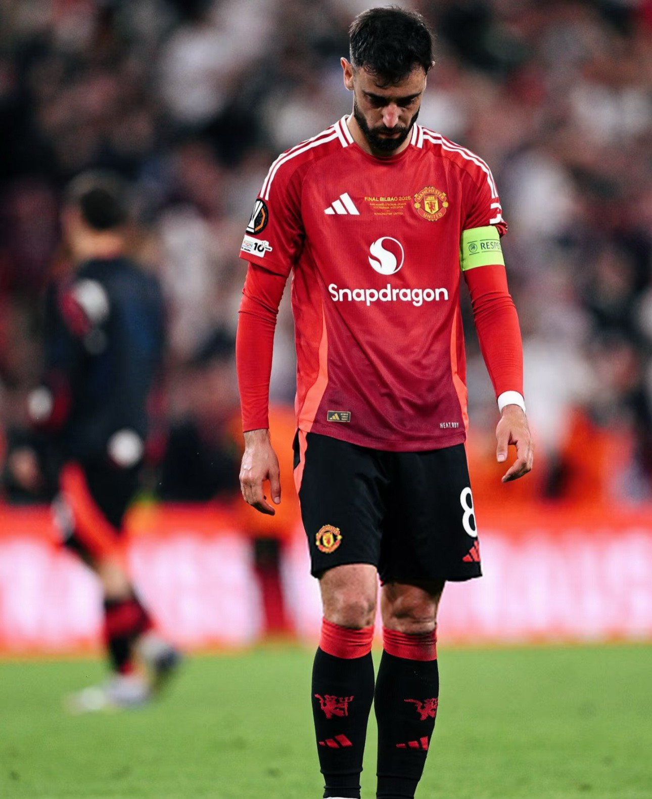 披着羊皮的狼完整mv